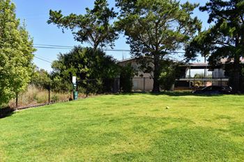 Dog park